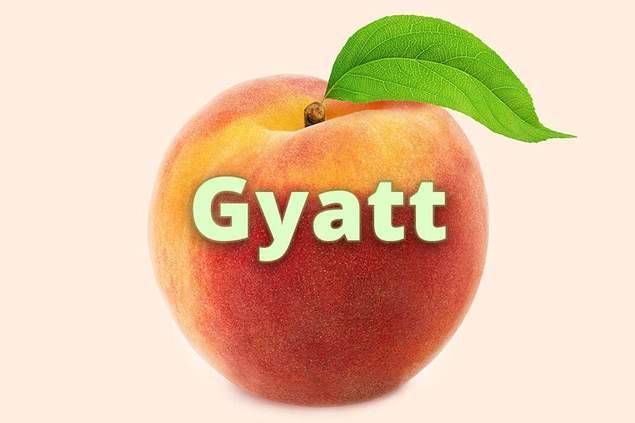 GYATT Slang Meaning Merriam-Webster